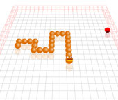 3D Worm