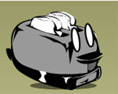 Appliances Run Amusck