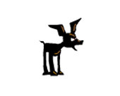BoyDog
