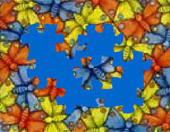 Butterflies