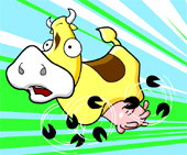 Cow