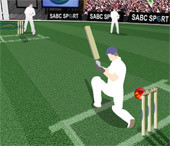 Cricket Challinge