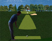 Flash Golf 3D