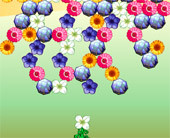 Flower Power