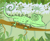 Frame Lizard