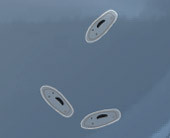 Infuzoriya Small Shoe
