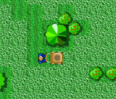 Lawn Pack
