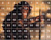 Mega Puzzle