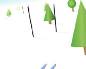 Ski Simulator