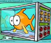 T-bone`s Stress Relief Aquarium 3