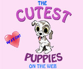 The Cutest Puppies