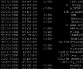 Virus Sabotage